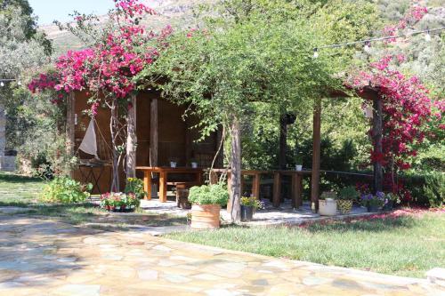 Apartamento Naiades Villas