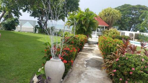 Hotel Whispering Bamboo Cove Resort