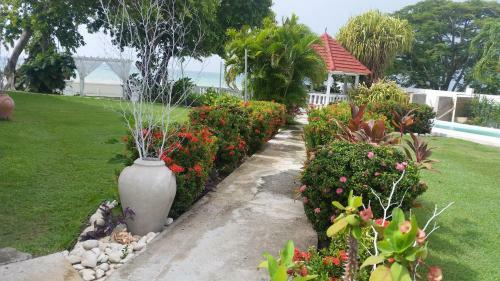 Hotel Whispering Bamboo Cove Resort