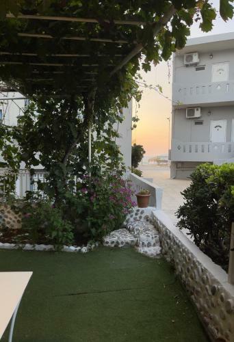Dts Apartment