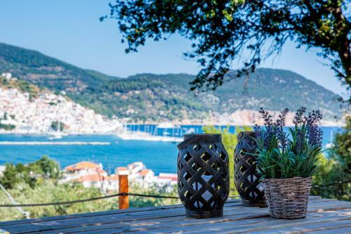 Olive Grove Apartment