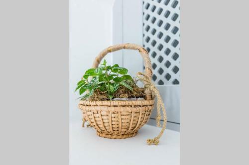 Myrtia House Skopelos