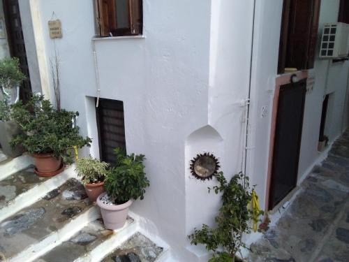Apartamento Seminas Gar�onni�re