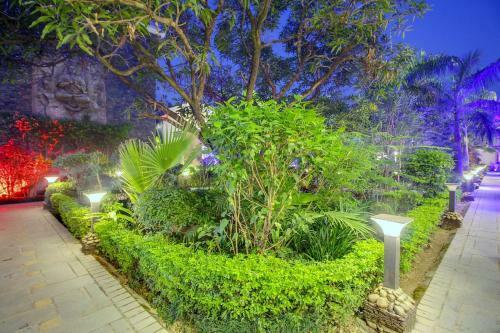 Hotel Luxury Jim Corbett Resort