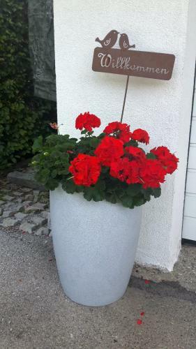 Apartamento Ferienwohnungen Regina Unger
