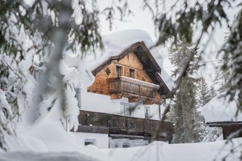 Apartamento Ferienhaus Tannenblick