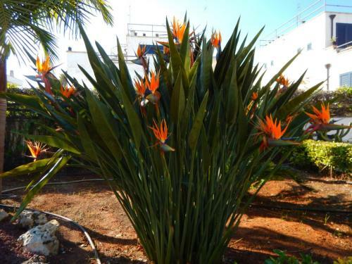 B&B Villa Ines