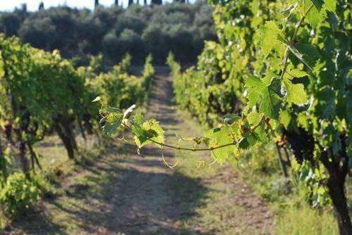 Agroturismo Fattoria Di Mugnano