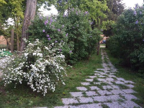 Hostal Podere Fonternaccia