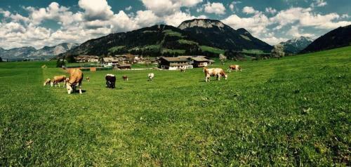 Hostal Pension Schusterhof