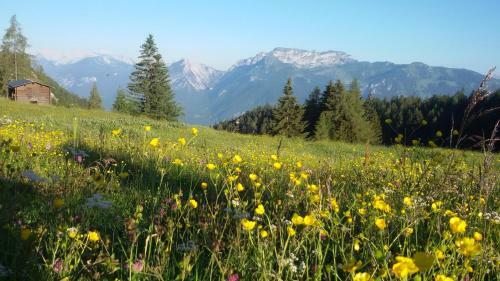 Apartamento Appartement Moaeben - Panorama