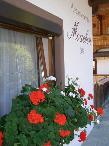 Apartamento Appartement Moaeben - Panorama