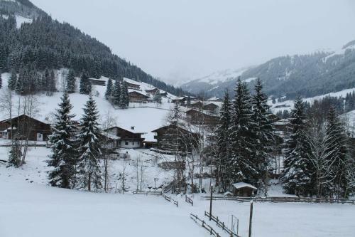 Apartment Sagtaler Spitze