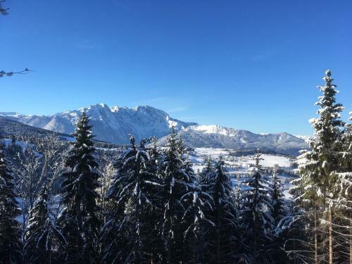 Apartamento Ferienwohnungen Hornmansreithof