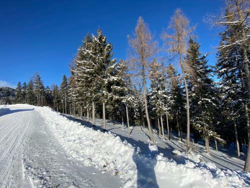 Almh�tten Skorianz- Die Gr�ne Hirschh�tte