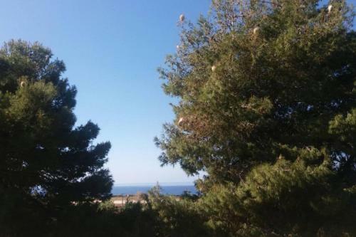 Villa Dionisia Kefalonia
