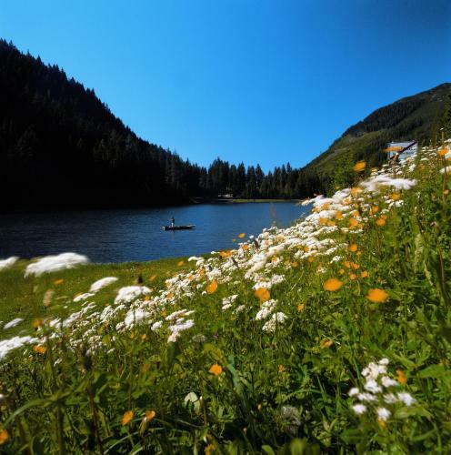 Apartamento Jagdhaus Am Zauchensee