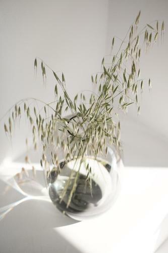 Zen Minimal Luxury Housing Tyros