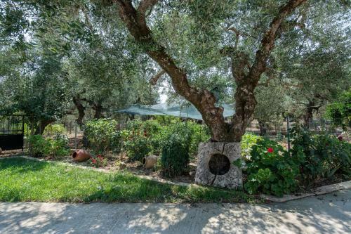 Villa Rosa 3 Bedroom With Sea View