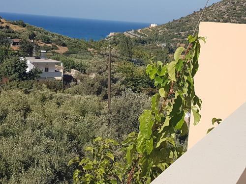 Sea Flower Villa Bali Crete