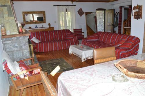 Villa Vytina With Garden And Bbq