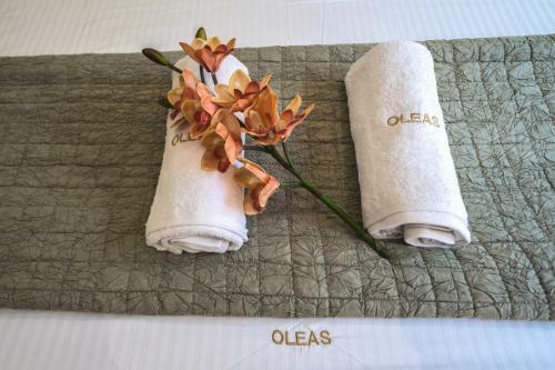 Apartamento Oleas Luxury Suites