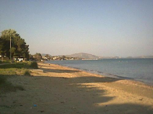 Palmar Club - Villa Zenobia