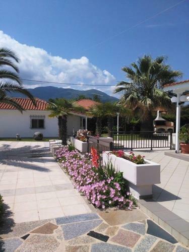 Villa Dimitris Apartments & Bungalows