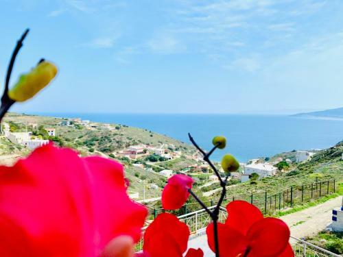 Villa Kalli - Porto Ennia