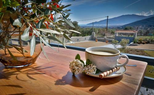 Ioniso Boutique Hotel