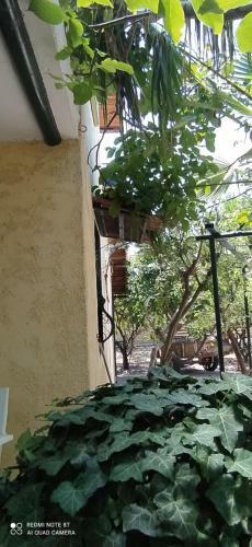 Apartamento Cozy House In Samoutani