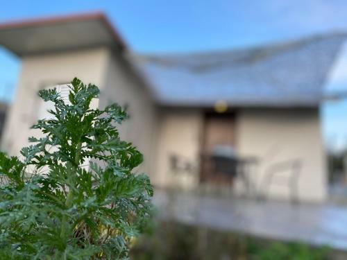 Villa Riqionian House