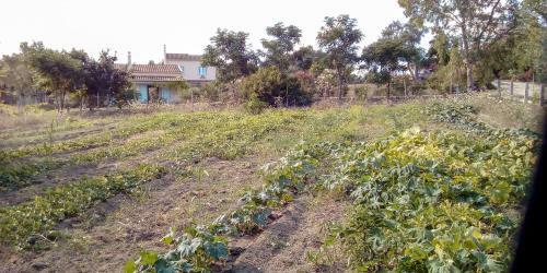 Agroturismo Aroggia Farm
