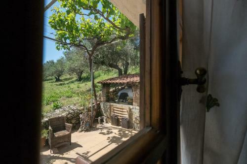 Traditional Family Cretan Home!