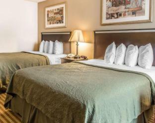 Hotel Quality Inn & Suites Indiana