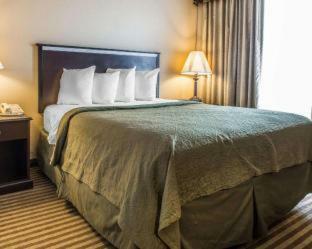 Hotel Quality Inn & Suites Indiana
