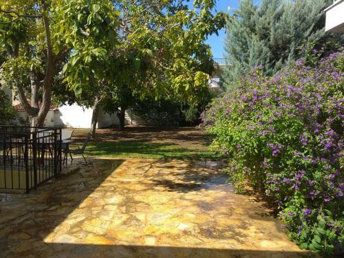 The Country House In Amarynthos