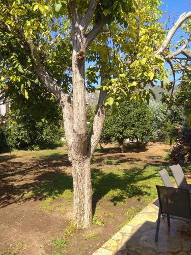 The Country House In Amarynthos