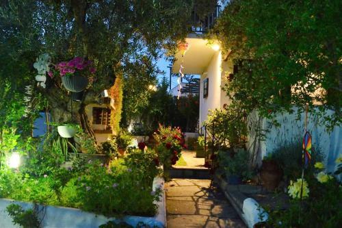 Sonia's House With Garden