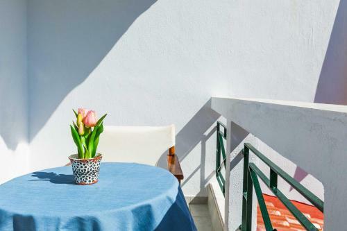 Gerakini Sunshine Holiday Homes