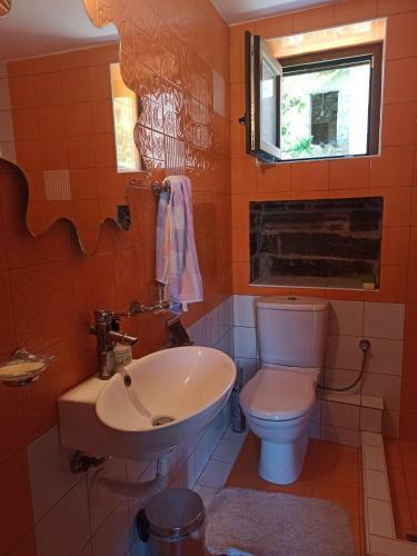 Apartamento Iris' Traditional Stone House