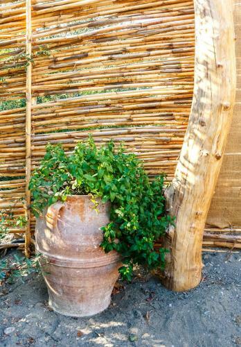 Agroturismo Kamihis Farm House Experience