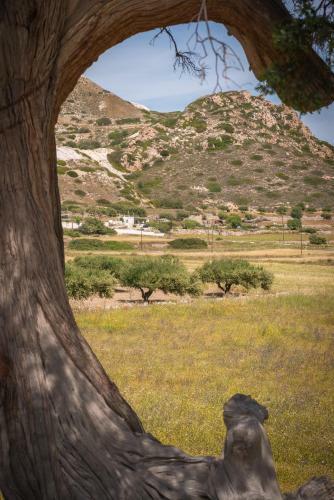 Apartamento Little House On The Prairie