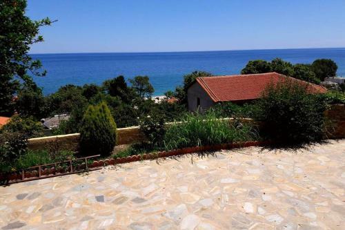 Villa Eleni's House Chorefto