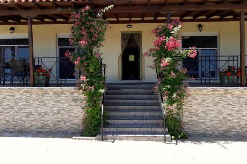Villa Eleni's House Chorefto