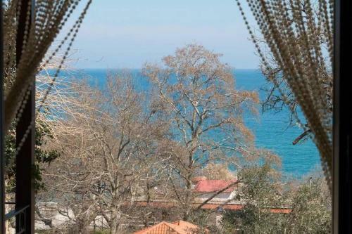 Villa Eleni's House Chorefto
