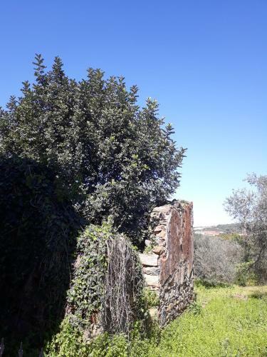 Agroturismo Hidden House In Nature