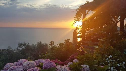 Analipsi Sea View Hommes