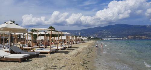 Villa Amare Luxury Living