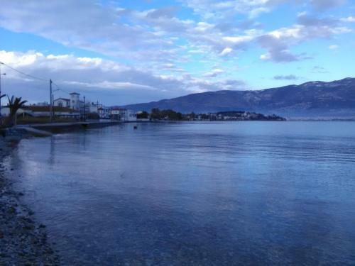 Villa Volos Traditional Beach House 2
